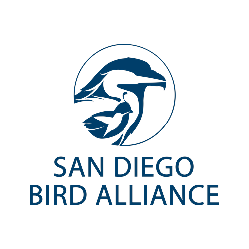 SDBA Logo Stacked Navy - Andrew Meyer